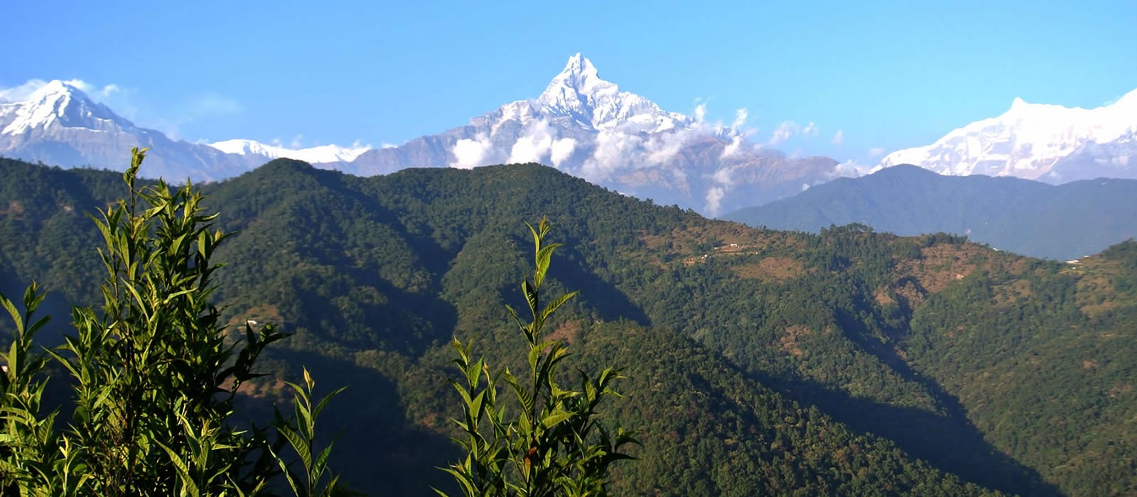 Pokhara Tour Package